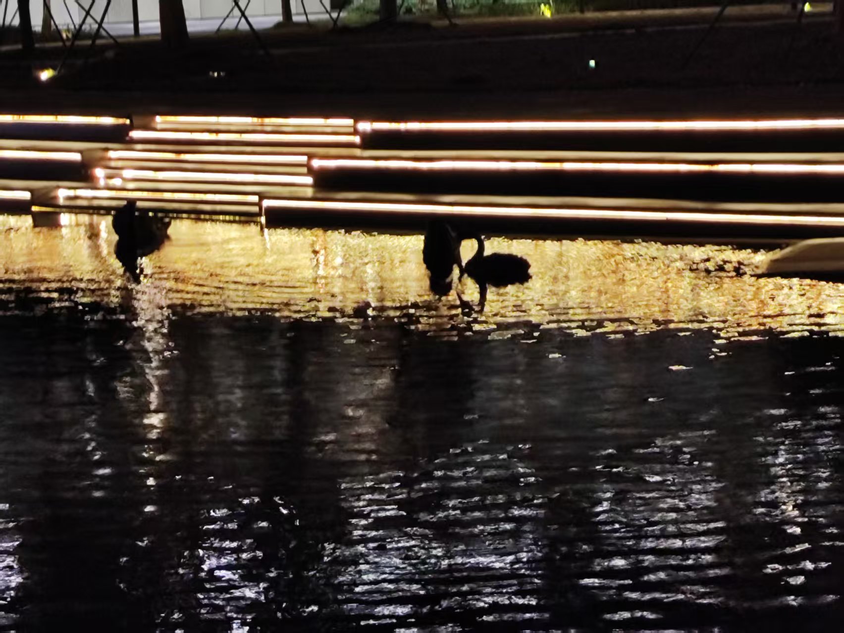 Guangzhou internship scene 4